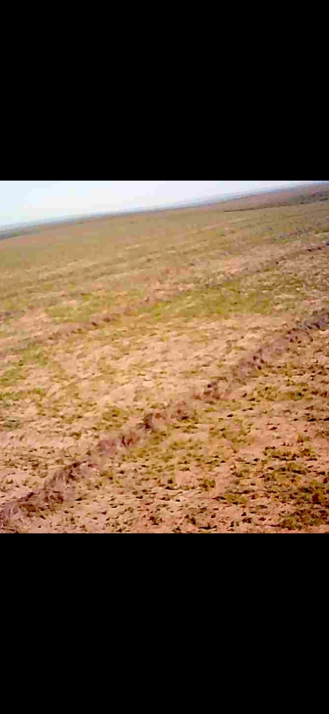 Screenshot_20260107_153456_WhatsAppBusiness