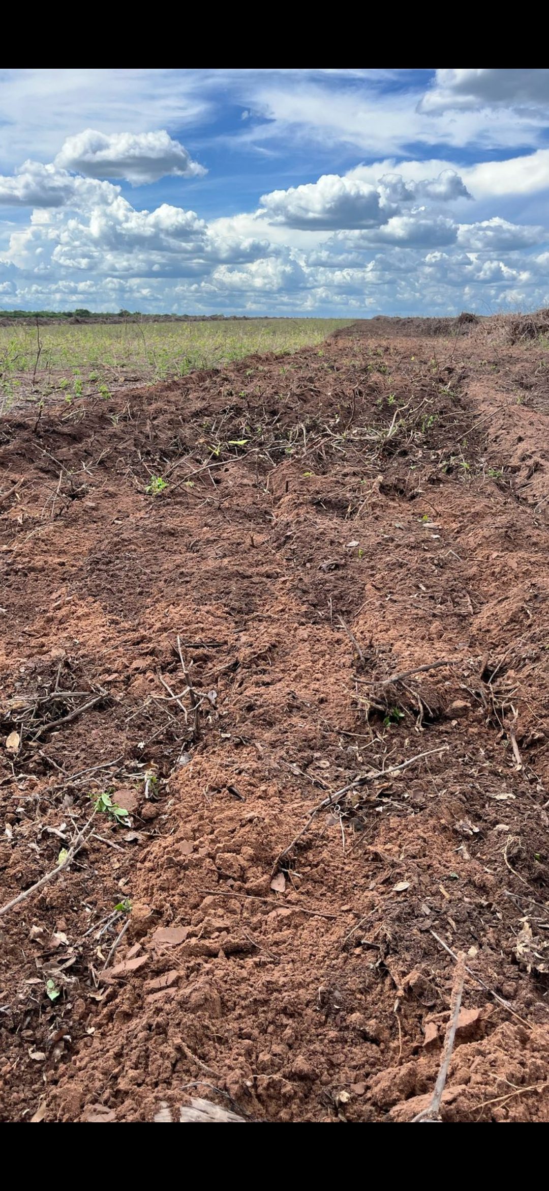 Screenshot_20260107_153502_WhatsAppBusiness